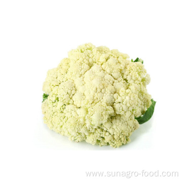 High Quality Frozen Cauliflower